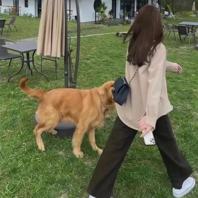 咸鱼哥